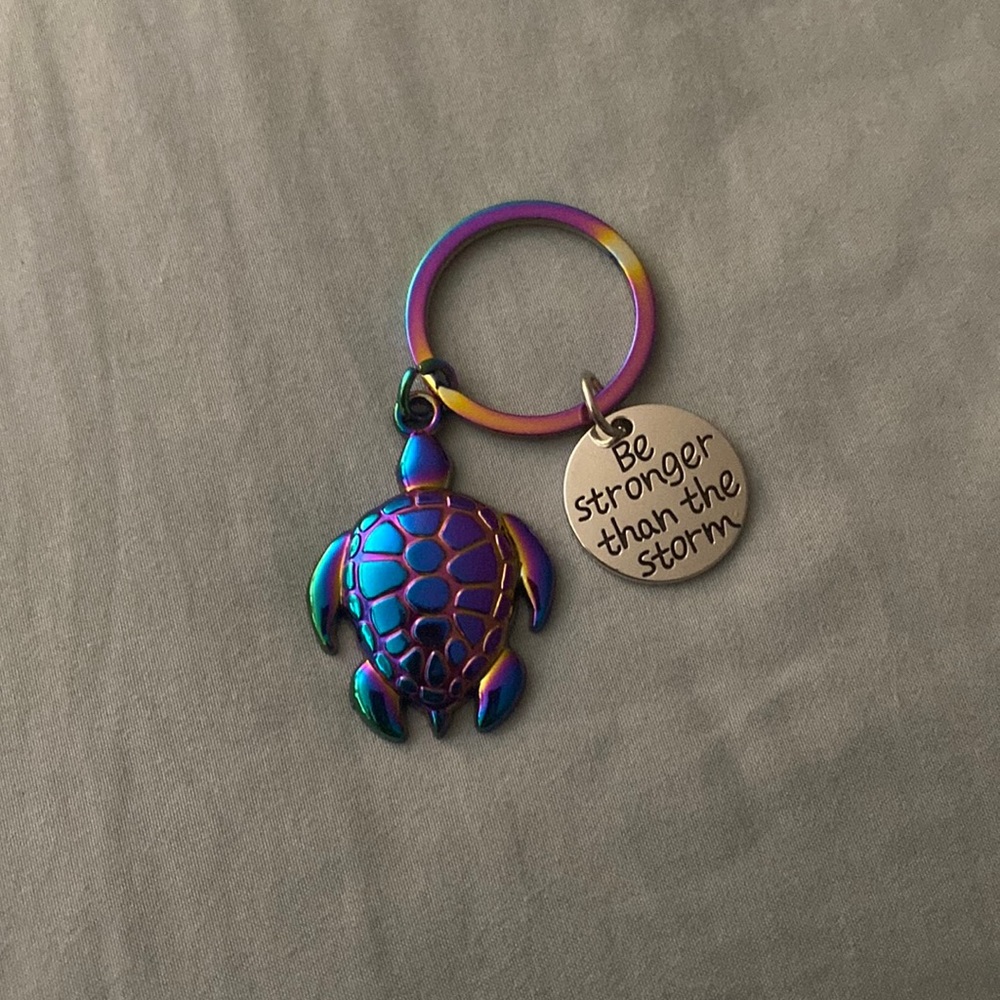 Turtle Key chain